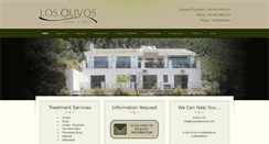 Desktop Screenshot of losolivosrecovery.com